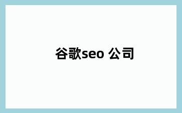 谷歌seo 公司